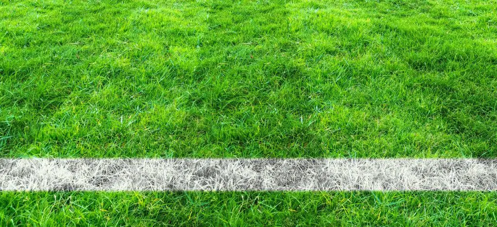 soccer line in green grass of soccer field. green lawn field pat