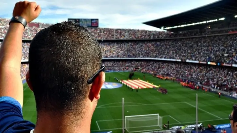 Soccer fan in stadium