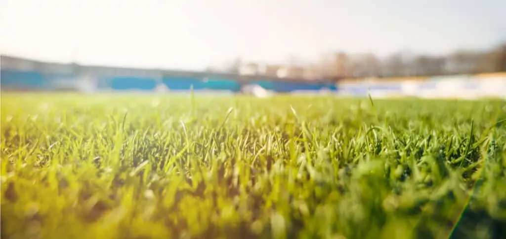 turf grass stadium 2 ○ Soccer Blade
