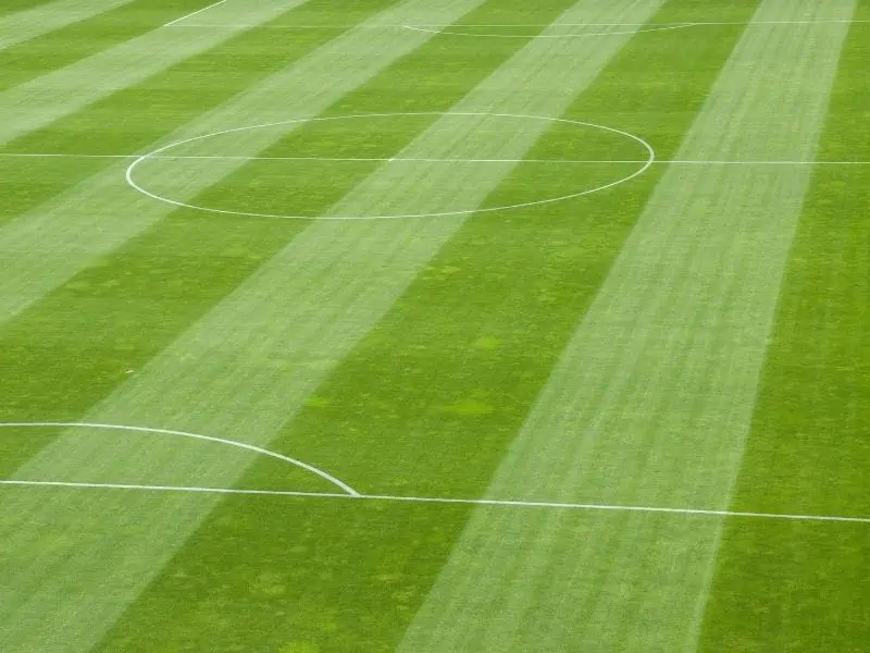 Soccer field grass in stripes