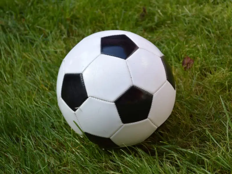 black and white soccer ball in grass